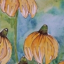 Rudbekie II
