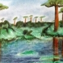 Drzewa Baobabu