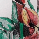 Lilly