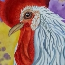 Kogicik