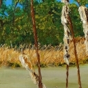 Trawy 2