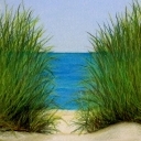 Plażowa Trawa
