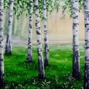 Birch Forest