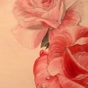 Two tea roses