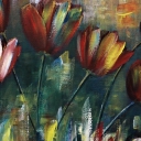 Czerwone Tulipany