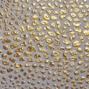 Sfera