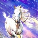 Nie zatrzymuj dzikich koni Nie zatrzymuj dzikich koni