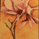 MAGNOLIA I