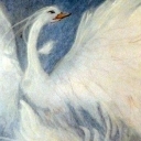 Queen of the Swans
